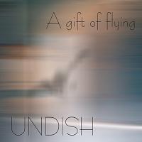 A Gift of Flying